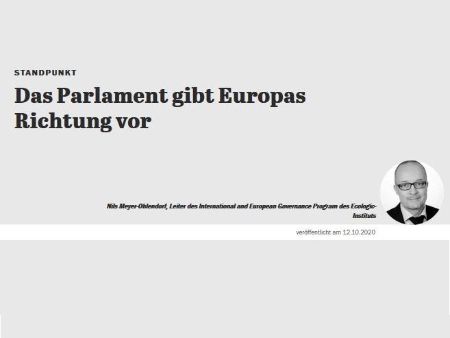 Title of the publication "Das Parlament gibt Europa die Richtung vor" and picture of the author