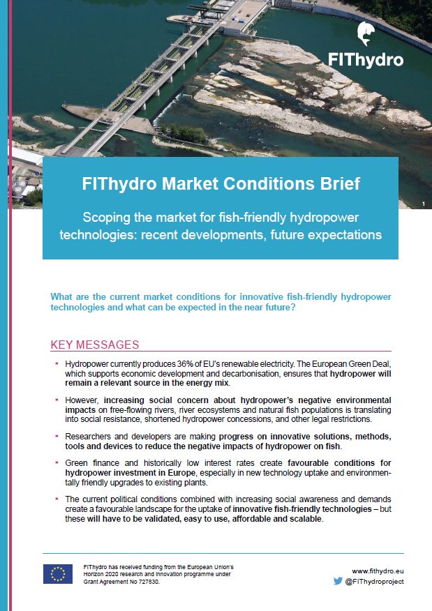 Cover FitHydro Policy Brief