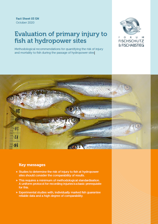 Cover of the fact sheet "Evaluation of primary injury to fish at hydropower sites"