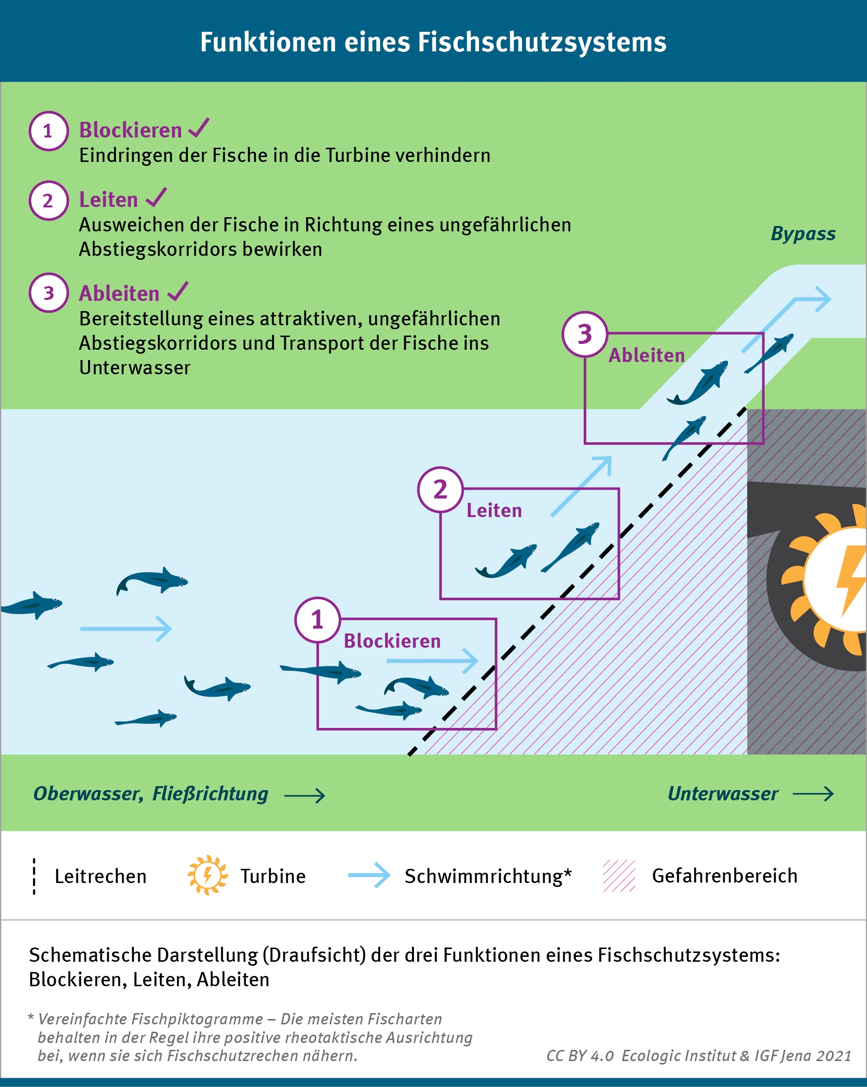 Schematische Darstellung (Draufsicht) der drei Funktionen eines Fischschutzsystems: Blockieren, Leiten, Ableiten