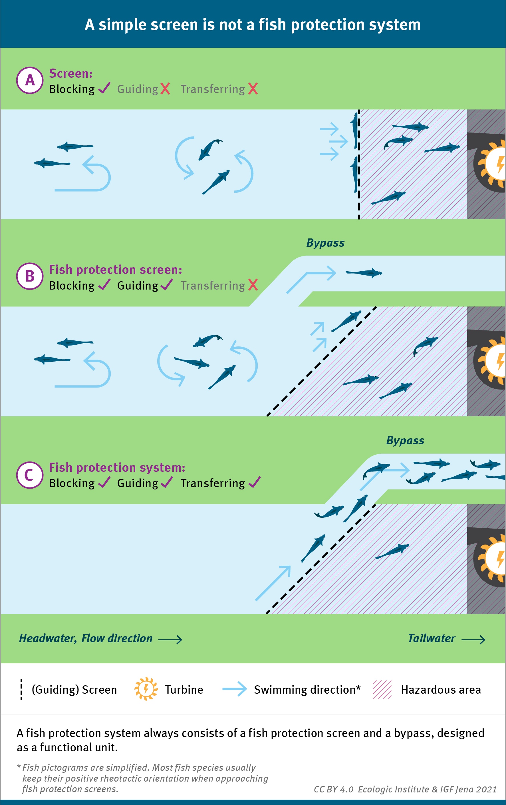 A fish protection system always consists of a fish protection screen and a bypass, designed as a functional unit. This infographic shows and explains the components. 