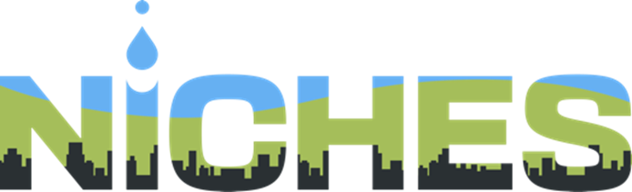 NICHES project logo: Project name in capital letters. in the letters you can see a skyline, above it green and blue horizon