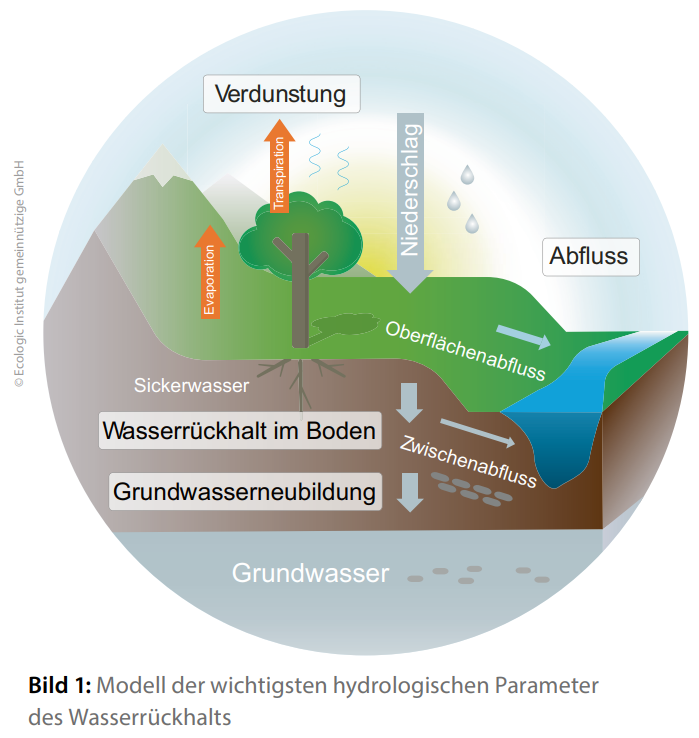 Diagram illustrating the key hydrological parameters of water retention, including evaporation, transpiration, precipitation, surface runoff, infiltration, soil water retention, groundwater recharge, and discharge.