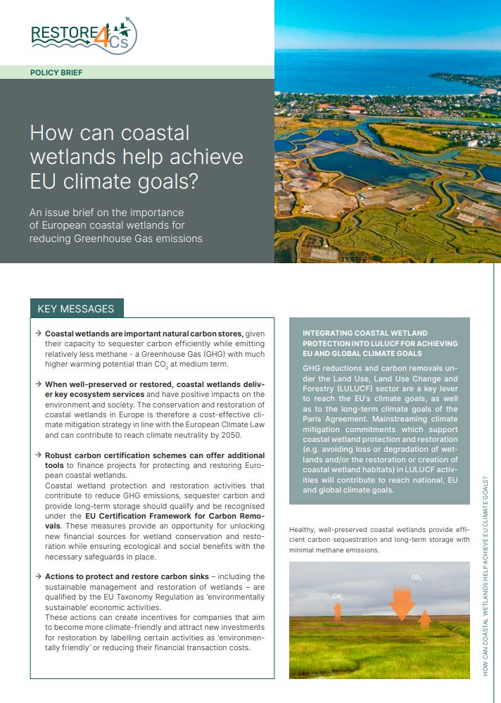 RESTORE4C Policy Brief Coastal Wetlands