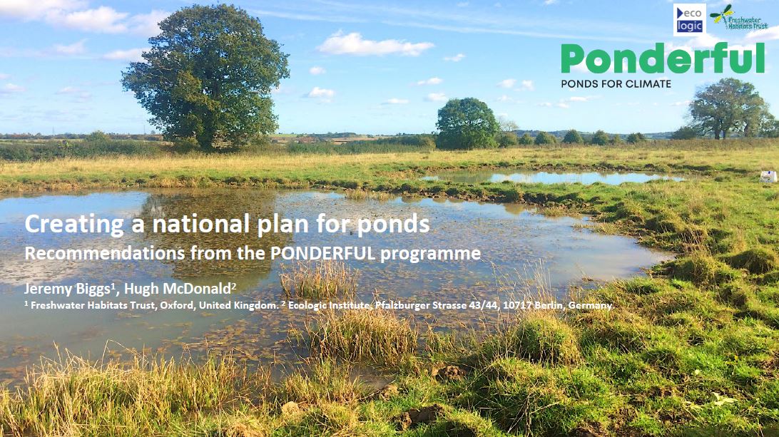 Cover slide of the presentation titled "Creating a National Plan for Ponds: Recommendations from the PONDERFUL Programme." The background image shows a tranquil landscape featuring shallow ponds surrounded by grassy fields and scattered trees under a blue sky with light clouds. The title and subtitle are written in white text, with authors Jeremy Biggs and Hugh McDonald listed below, along with their affiliations: Freshwater Habitats Trust, UK, and Ecologic Institute, Germany.