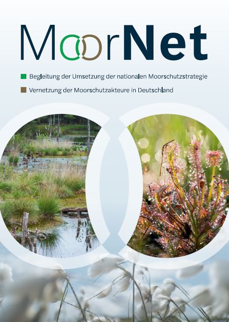 A postcard titled "MoorNet" featuring two overlapping circles with images of a pristine peatland and a carnivorous plant (sundew). The text highlights "Support for the implementation of the national peatland protection strategy" and "Networking of peatland protection stakeholders in Germany." Cotton grass is shown at the bottom, symbolizing peatland landscapes. The focus is on conservation and stakeholder collaboration for peatland protection in Germany.