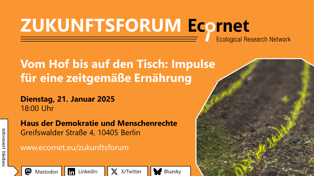 Veranstaltungsankündigung für das Zukunftsforum des Ecornet – Ecological Research Network. Titel: "Vom Hof bis auf den Tisch: Impulse für eine zeitgemäße Ernährung". Datum und Uhrzeit: Dienstag, 21. Januar 2025, 18:00 Uhr. Ort: Haus der Demokratie und Menschenrechte, Greifswalder Straße 4, 10405 Berlin. Weitere Informationen unter www.ecornet.eu/zukunftsforum. Der Hintergrund ist orange, und rechts unten ist ein Bild von jungen Pflanzensprossen auf einem Acker zu sehen.