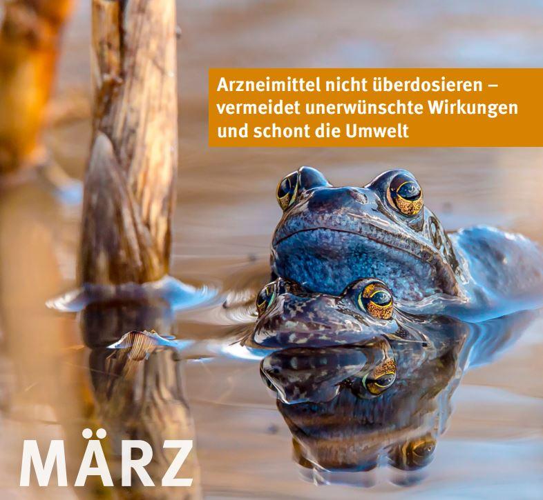 © German Environment Agency, 2024